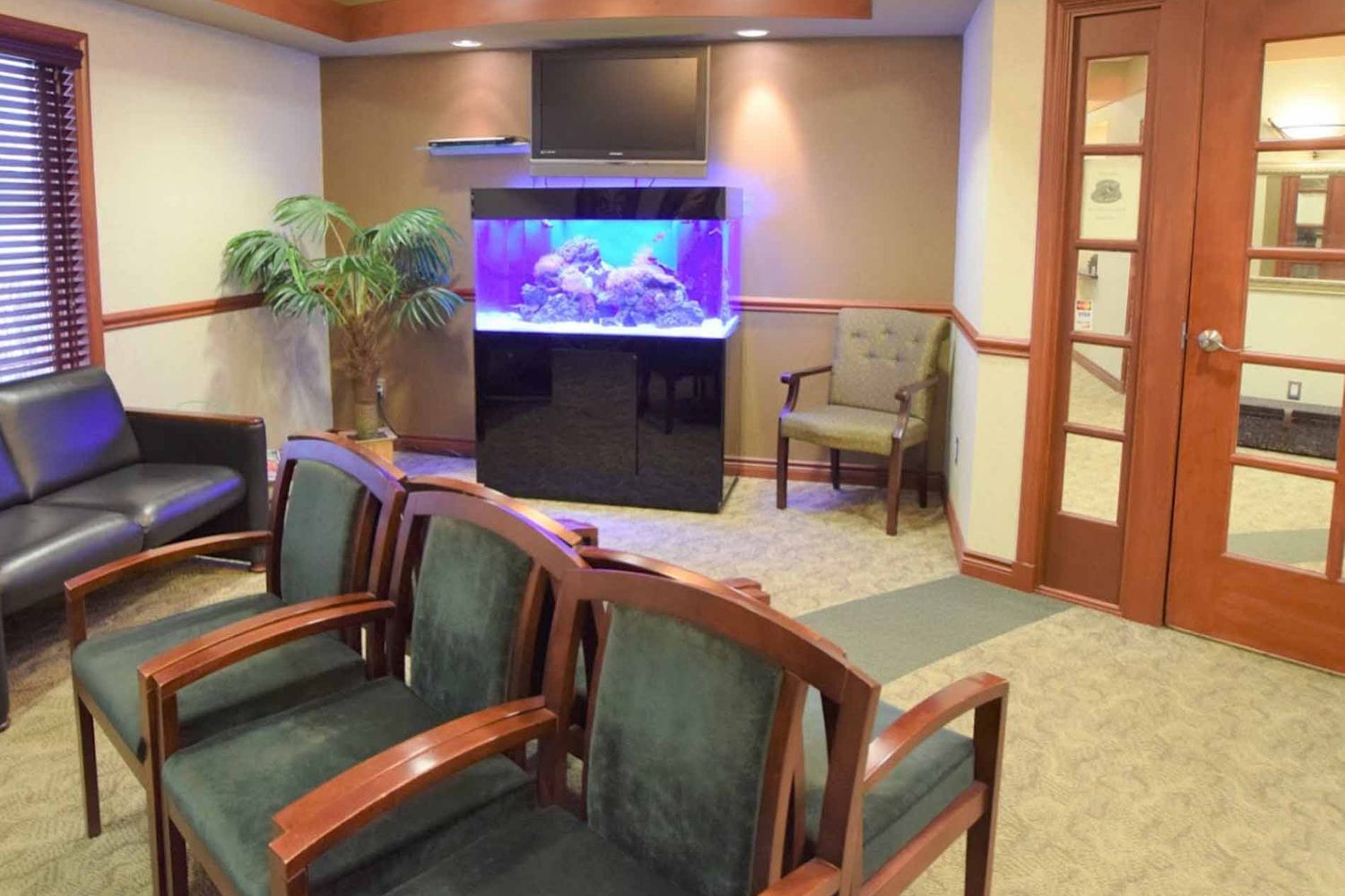 castiledentalgroup-032